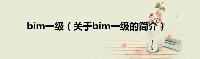 bim一級（關于bim一級的簡介）