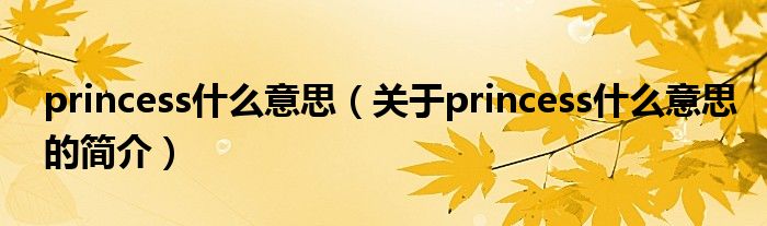 princess什么意思（關于princess什么意思的簡介）