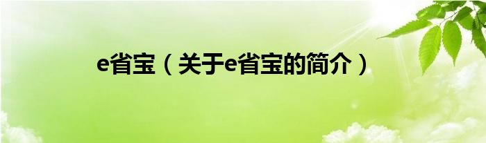 e省寶（關于e省寶的簡介）