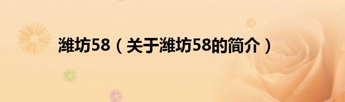 濰坊58（關于濰坊58的簡介）