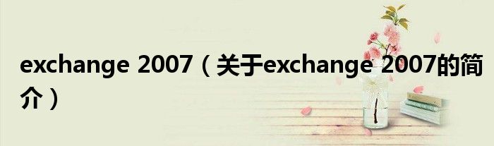 exchange 2007（關于exchange 2007的簡介）
