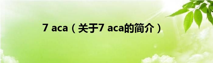 7 aca（關于7 aca的簡介）