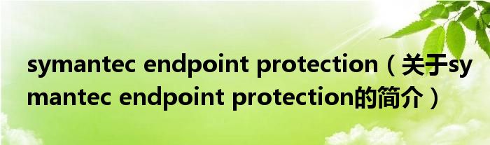 symantec endpoint protection（關(guān)于symantec endpoint protection的簡(jiǎn)介）