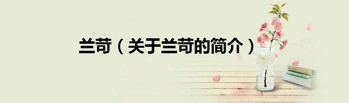 蘭苛（關于蘭苛的簡介）