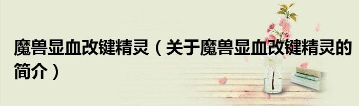 魔獸顯血改鍵精靈（關于魔獸顯血改鍵精靈的簡介）
