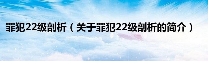 罪犯22級剖析（關于罪犯22級剖析的簡介）