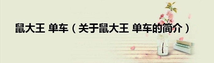 鼠大王 單車（關于鼠大王 單車的簡介）