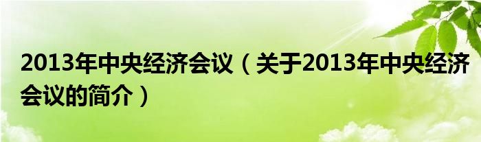 2013年中央經濟會議（關于2013年中央經濟會議的簡介）