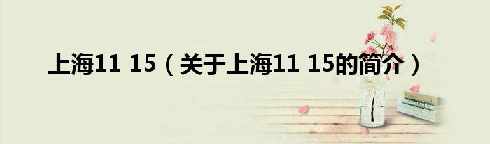 上海11 15（關于上海11 15的簡介）