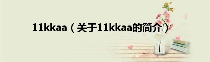 11kkaa（關于11kkaa的簡介）
