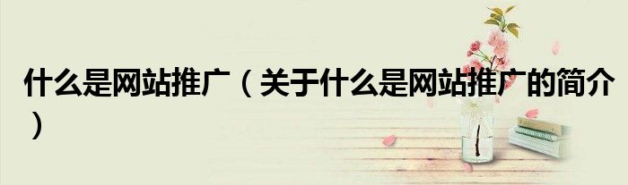 什么是網站推廣（關于什么是網站推廣的簡介）