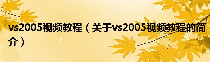 vs2005視頻教程（關于vs2005視頻教程的簡介）