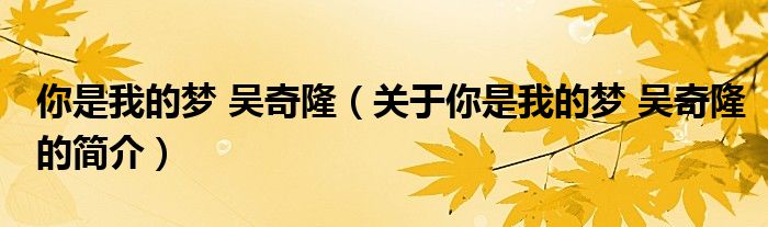 你是我的夢(mèng) 吳奇隆（關(guān)于你是我的夢(mèng) 吳奇隆的簡(jiǎn)介）