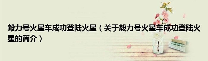 毅力號火星車成功登陸火星（關于毅力號火星車成功登陸火星的簡介）