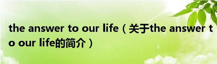 the answer to our life（關于the answer to our life的簡介）