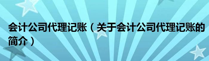 會計公司代理記賬（關于會計公司代理記賬的簡介）