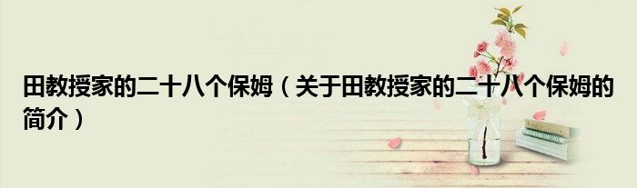 田教授家的二十八個保姆（關于田教授家的二十八個保姆的簡介）