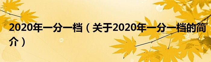 2020年一分一檔（關于2020年一分一檔的簡介）