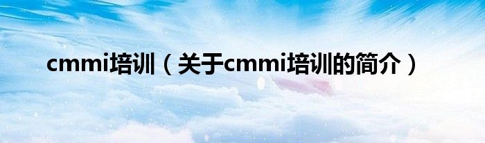 cmmi培訓（關于cmmi培訓的簡介）