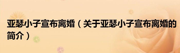 亞瑟小子宣布離婚（關于亞瑟小子宣布離婚的簡介）