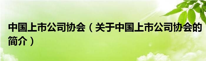 中國上市公司協會（關于中國上市公司協會的簡介）
