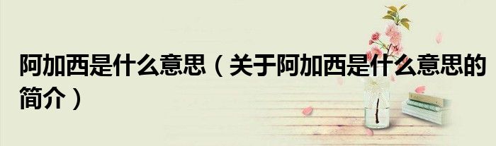 阿加西是什么意思（關于阿加西是什么意思的簡介）