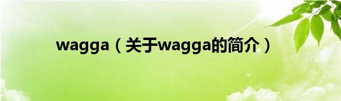 wagga（關于wagga的簡介）