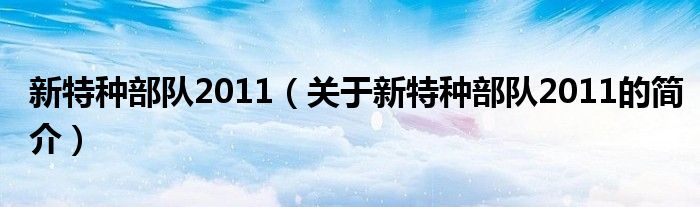 新特種部隊2011（關于新特種部隊2011的簡介）