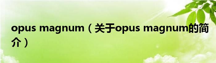 opus magnum（關于opus magnum的簡介）