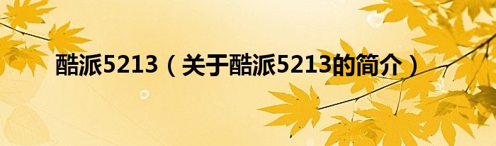酷派5213（關于酷派5213的簡介）
