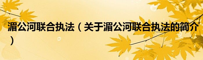 湄公河聯合執法（關于湄公河聯合執法的簡介）