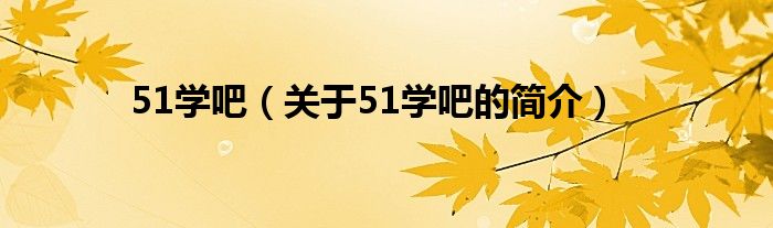51學吧（關于51學吧的簡介）