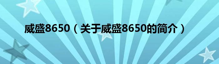 威盛8650（關于威盛8650的簡介）