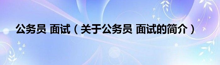 公務員 面試（關于公務員 面試的簡介）