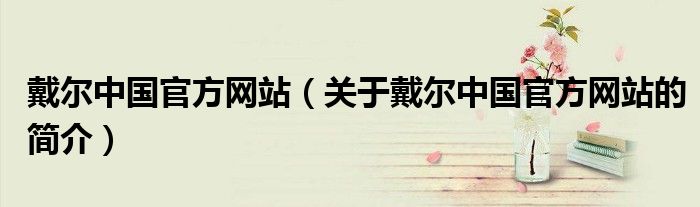 戴爾中國官方網站（關于戴爾中國官方網站的簡介）