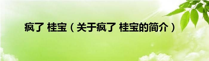 瘋了 桂寶（關(guān)于瘋了 桂寶的簡(jiǎn)介）