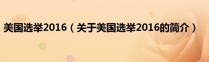美國選舉2016（關于美國選舉2016的簡介）