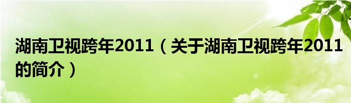 湖南衛視跨年2011（關于湖南衛視跨年2011的簡介）