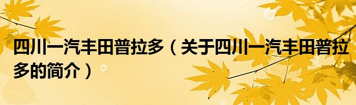四川一汽豐田普拉多（關(guān)于四川一汽豐田普拉多的簡(jiǎn)介）
