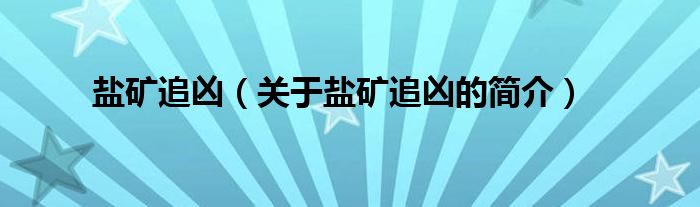 鹽礦追兇（關于鹽礦追兇的簡介）