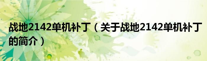 戰地2142單機補丁（關于戰地2142單機補丁的簡介）