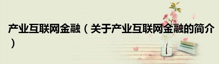 產業互聯網金融（關于產業互聯網金融的簡介）