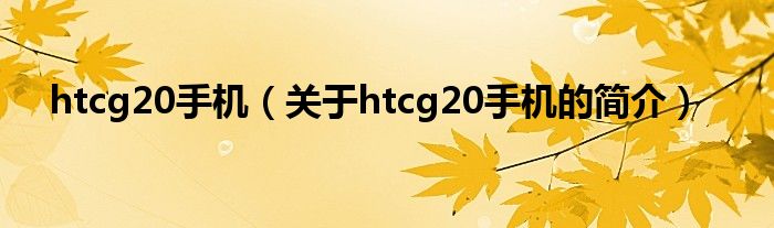 htcg20手機（關于htcg20手機的簡介）