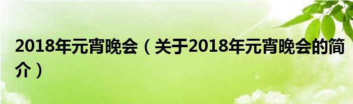 2018年元宵晚會（關于2018年元宵晚會的簡介）