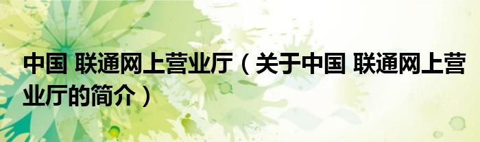 中國 聯通網上營業廳（關于中國 聯通網上營業廳的簡介）