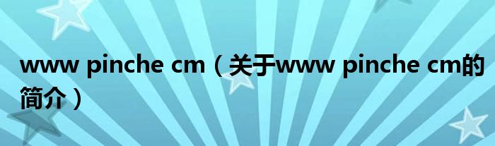 www pinche cm（關于www pinche cm的簡介）