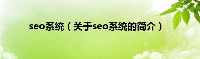 seo系統（關于seo系統的簡介）