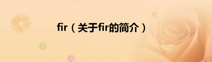 fir（關于fir的簡介）