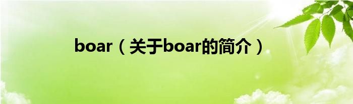 boar（關于boar的簡介）