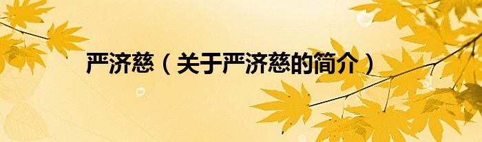 嚴濟慈（關于嚴濟慈的簡介）